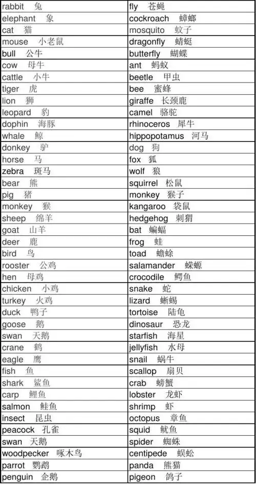 动物英语单词