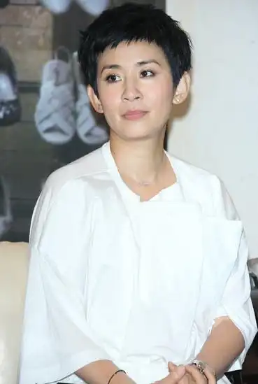 吴君如短发发型图片 展现时尚干练