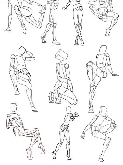 人体结构速写人体结构速写图