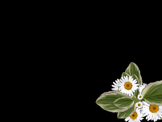 动态gif粒子素材 - 晶晶 - ‰晶晶∫★的博客