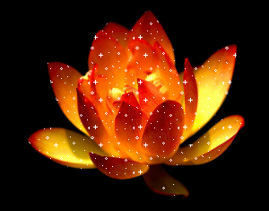 300_235gif 动态图 动图