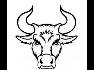 公牛的牛头标志图片_简笔画图片_少儿图库_儿童资源网