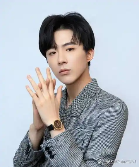 刘宇宁经纪人丨"刘宇宁:用声音征服舞台的魅力歌者"