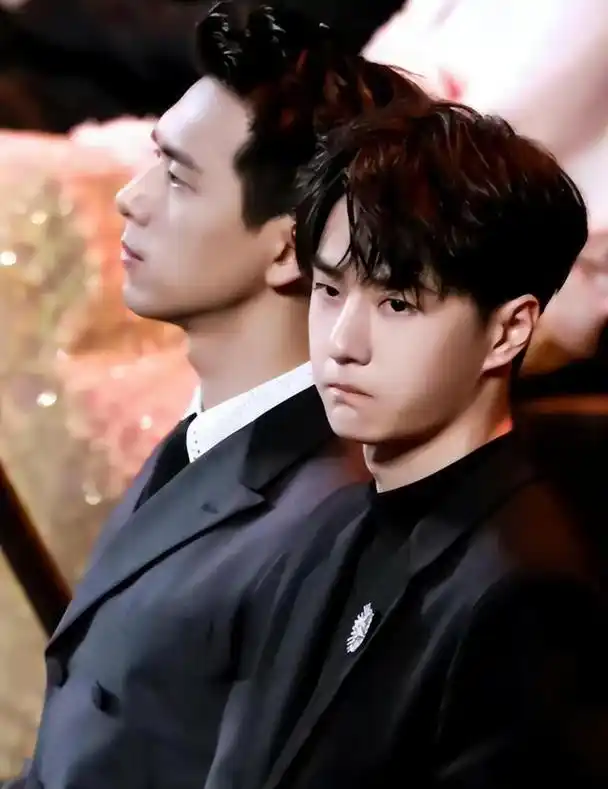 刘亦菲,杨紫,热巴,胡歌,蔡徐坤,王俊凯,易烊千玺,王源,李现,王一博