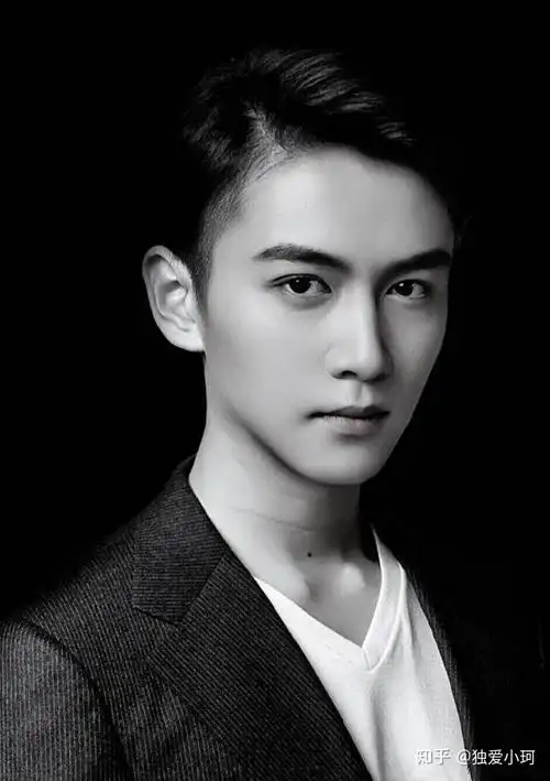 陈晓在85后男明星中颜值算顶尖的吗? - 知乎