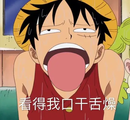 onepiece搞笑的海贼王图片表情包