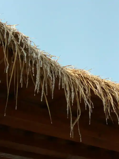 这茅屋草上的冰挂亦是又一亮点,可见严冬的如此寒冷了!