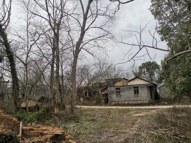 新农村建设后,荒废了十几年的村子