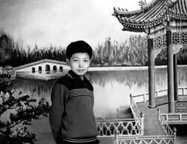 要办喜事了!撒贝宁带外籍妻子回老家