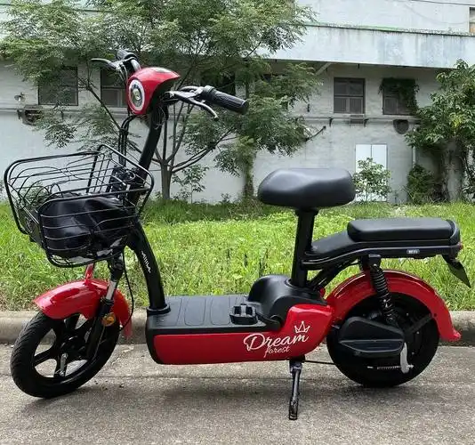 爱玛官方新款电动车小型车女士可带人电瓶车代步电动电动自行车