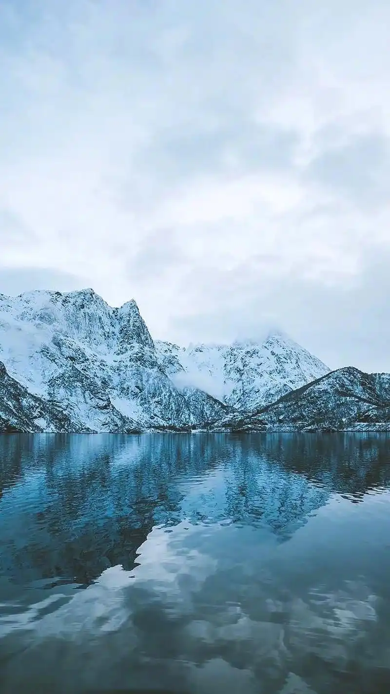 壁纸 桌面 1080_1920 竖版 竖屏 手机