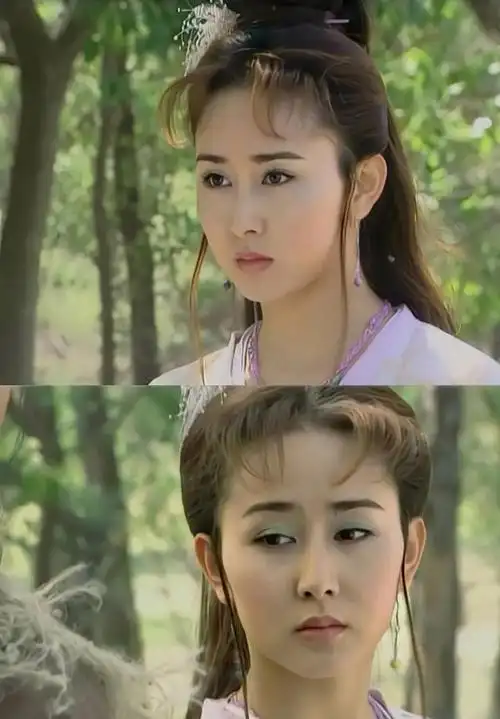 胡静最美十部电视剧(圆脸小花胡静古装合集)(17)