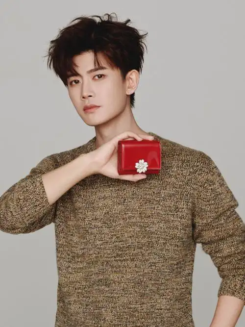 任嘉伦allen演绎@rogervivier_罗杰维维亚2024中国新年限定系列,帅气