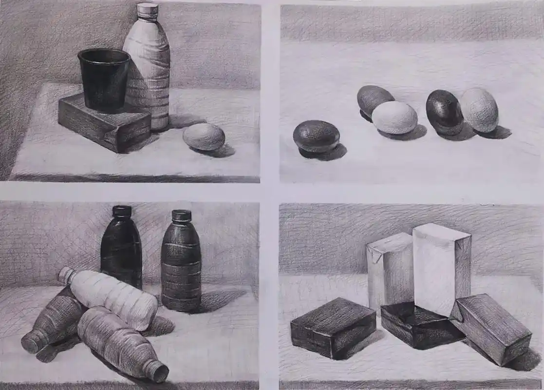 固有色区分##素描入门零基础教程  #画画 #静物素描 #素 - 抖音