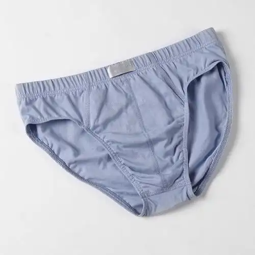 两条装宝路易盒装正品男士内裤精梳100%纯棉三角内裤