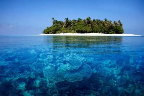 世界十大透明的海宛如人间仙境度假首选之地