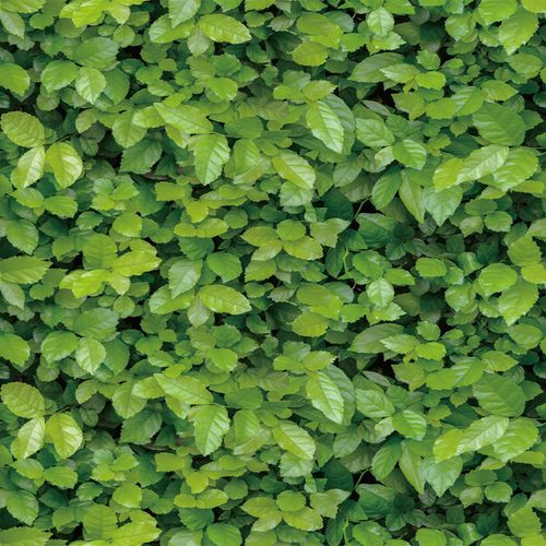 3d自粘草地墙纸客厅背景墙田园装饰卧室墙壁自贴壁纸防水墙贴纸