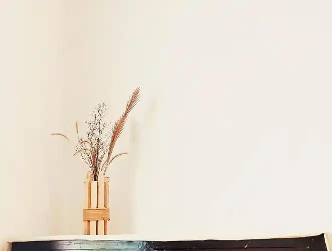 安静的生活影像/手机摄影