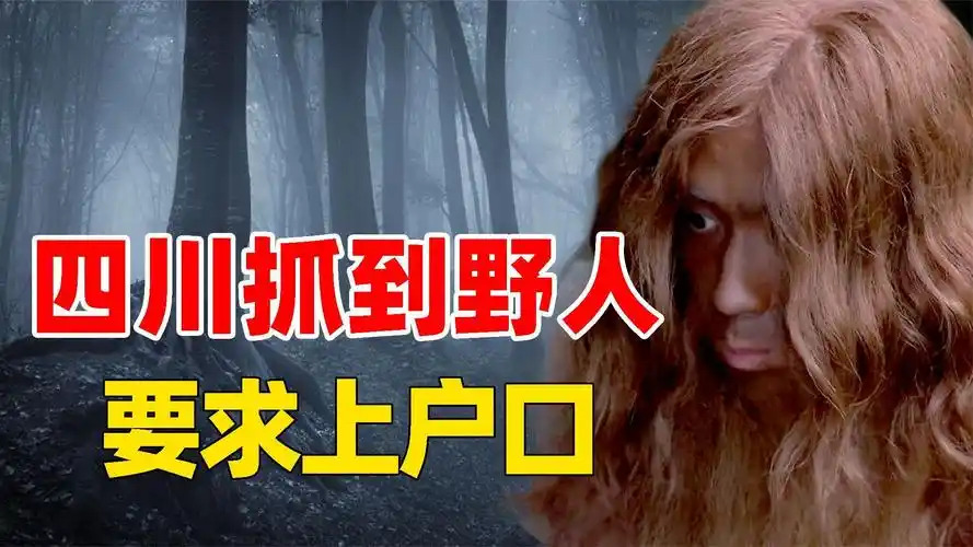 四川大木山惊现野人人形熊样一身毛谁知野人要求上户口