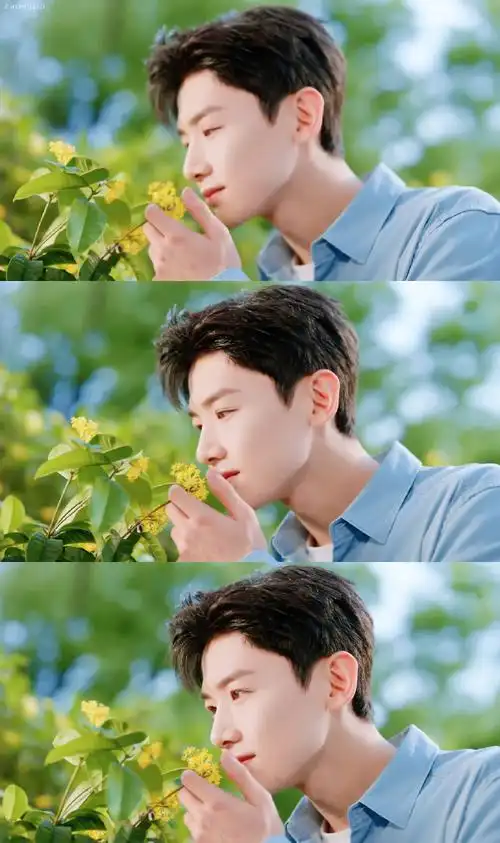 白敬亭0804出道九周年快乐##百醇品牌代言人白敬亭