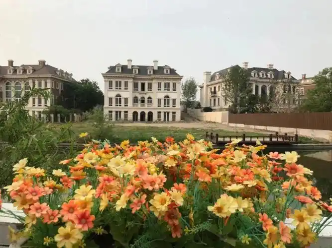 远洋lavie业主着急卖价格一降再降