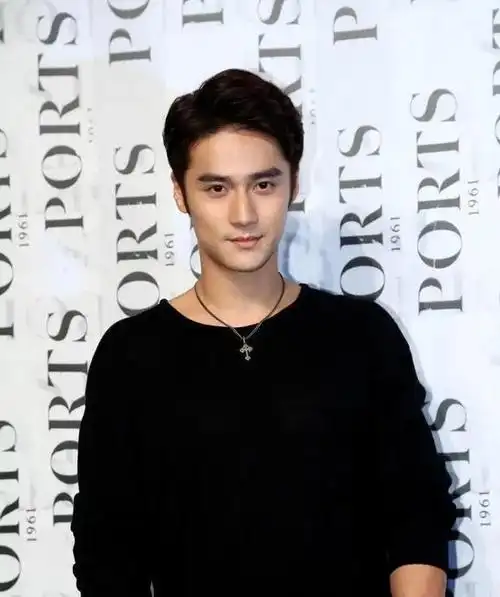 你们知道蒋劲夫嘛,年轻的时候颜值爆表啊,可惜了,退圈了!