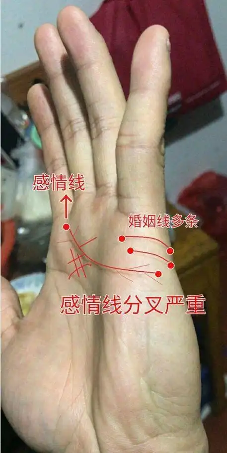 但最终能够有望复合,这种手相的人很多容易离婚后复婚