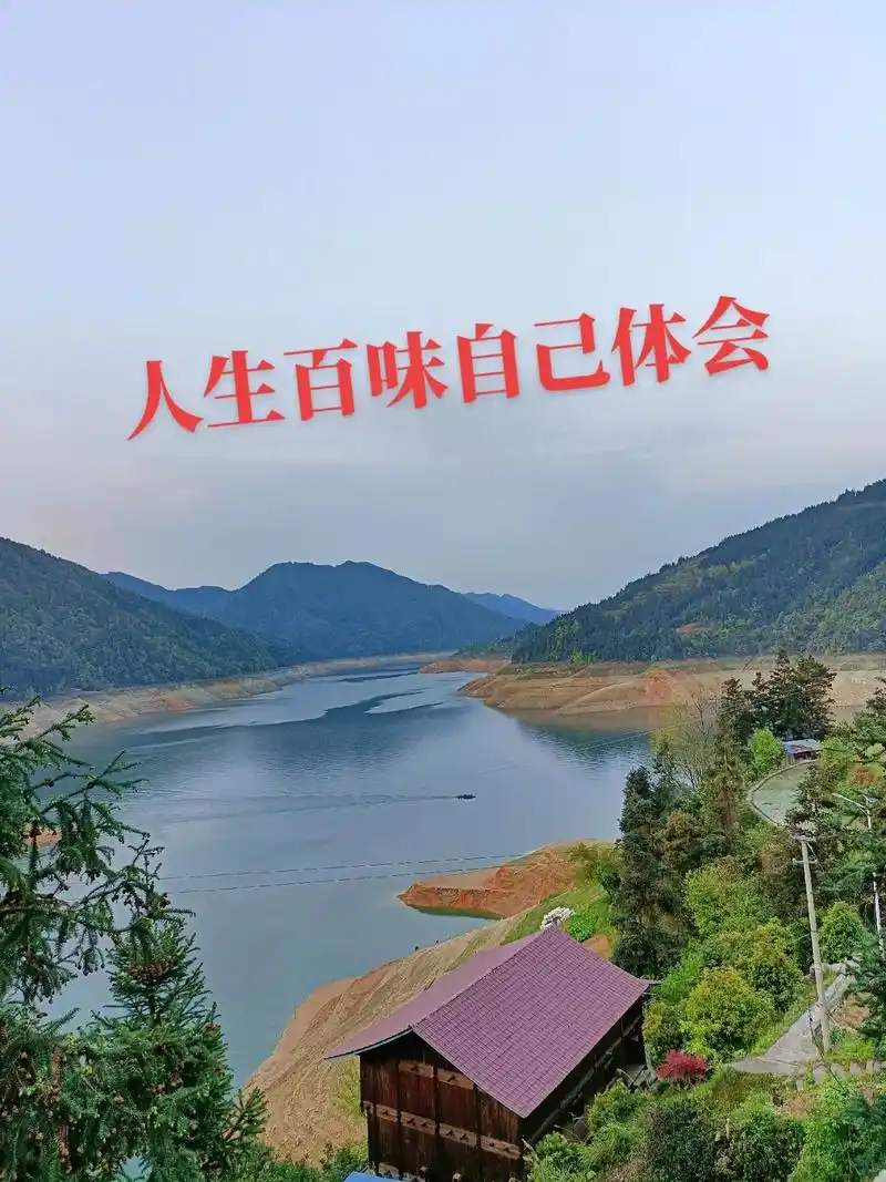 来时一丝不挂,去时一缕青烟,两个世界,人生到底图个啥,来也空 - 抖音