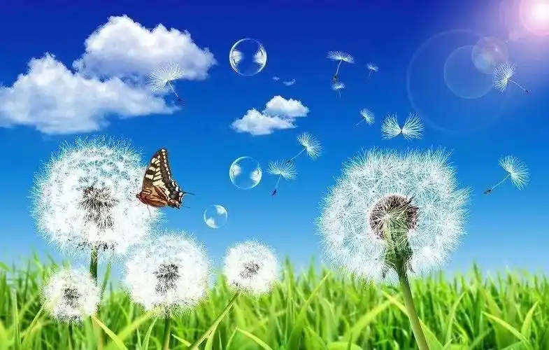 人间值得让心归于平静