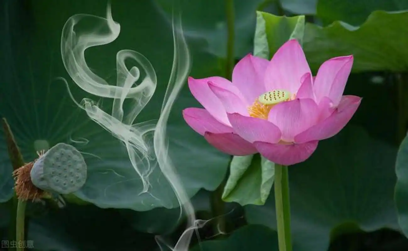 修行即修心 既然修心,心在哪?就像城里有了贼人,但不知在哪?怎么抓.