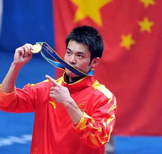 2013年,林丹因休赛近一年,其世界排名已跌出前200名.