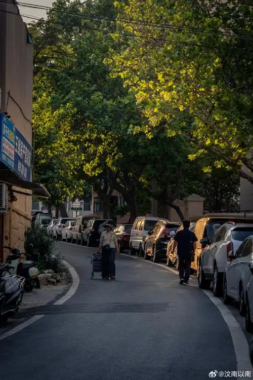 傍晚的青岛老城区街道,光影交错,金光四溢,阳光透过树荫,安静的照亮着