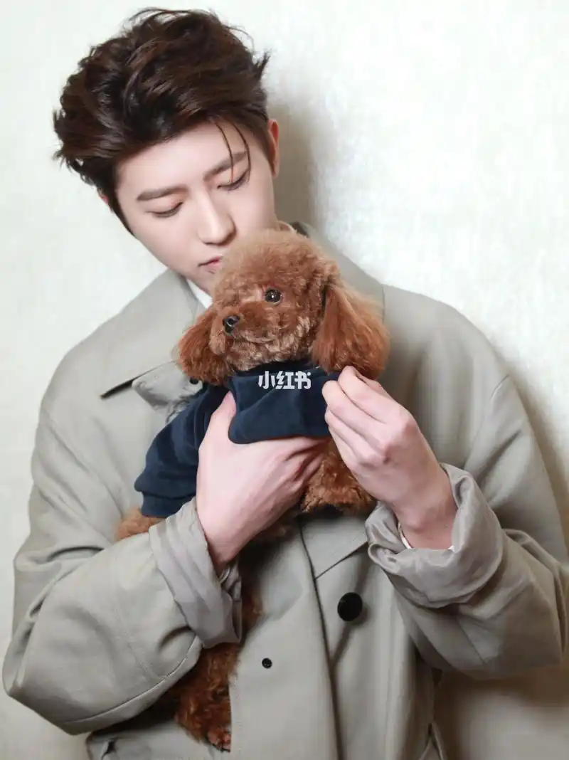 看镜头啊宝宝 一起过年了 @蔡徐坤_狗_宠物