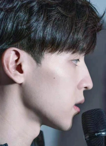 原创国内有高鼻子的男明星们刘昊然邓伦黄轩上榜谁的侧脸更迷人