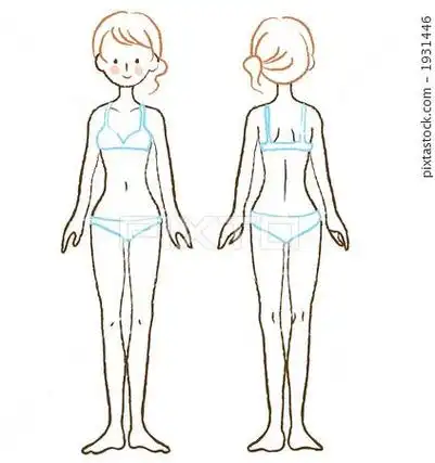 内容有侧面女性身体画法兔子侧面简笔画小兔子侧面卡通图片侧面的