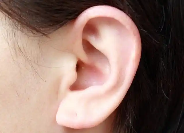 趣闻:穷人耳,富人耳到底是什么意思?你的耳朵属于哪种?