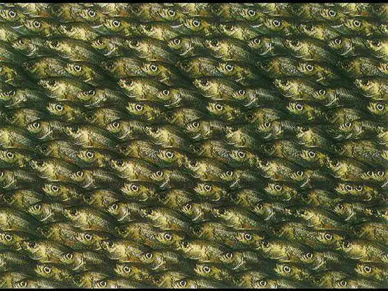 神奇的裸眼立体3d图.