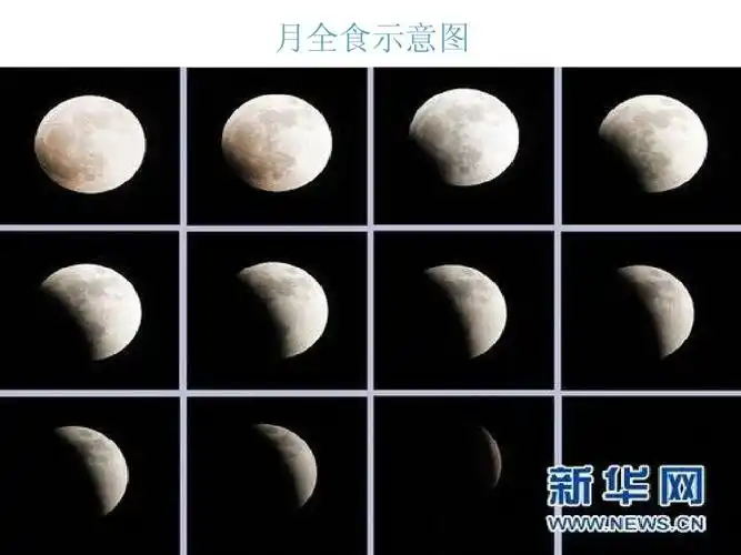 科学世界23(1)ppt_word文档在线阅读与下载_免费文档