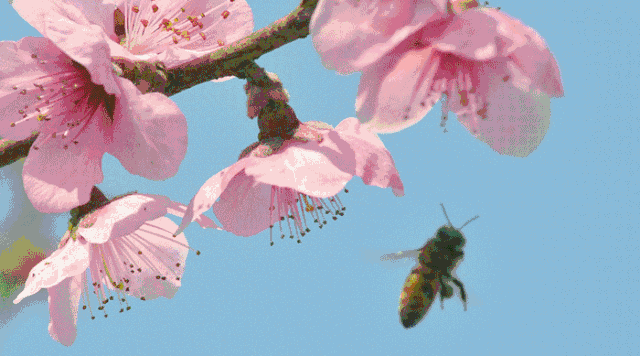 恶心记者卧底滨河新区某地1个月曝光如此内幕