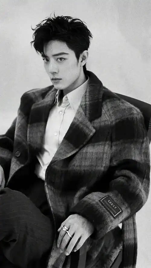 肖战elle 开年刊图集