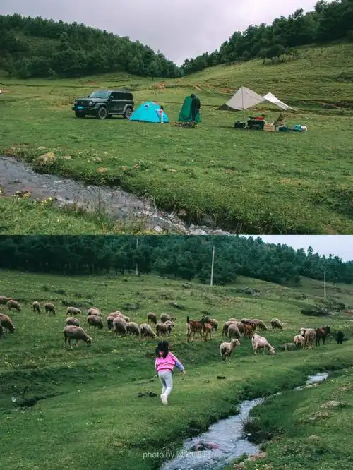 这次去了海拔3000多米的高山草甸露营,真是一次难忘的露营7215