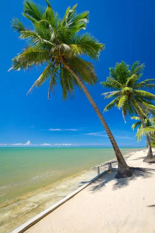 美丽的热带海滩与椰子棕榈树