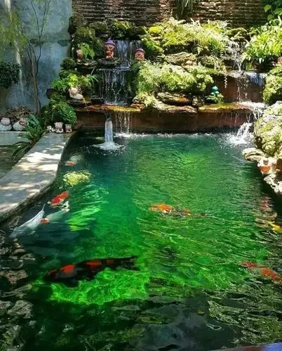 分享庭院水景池资料下载