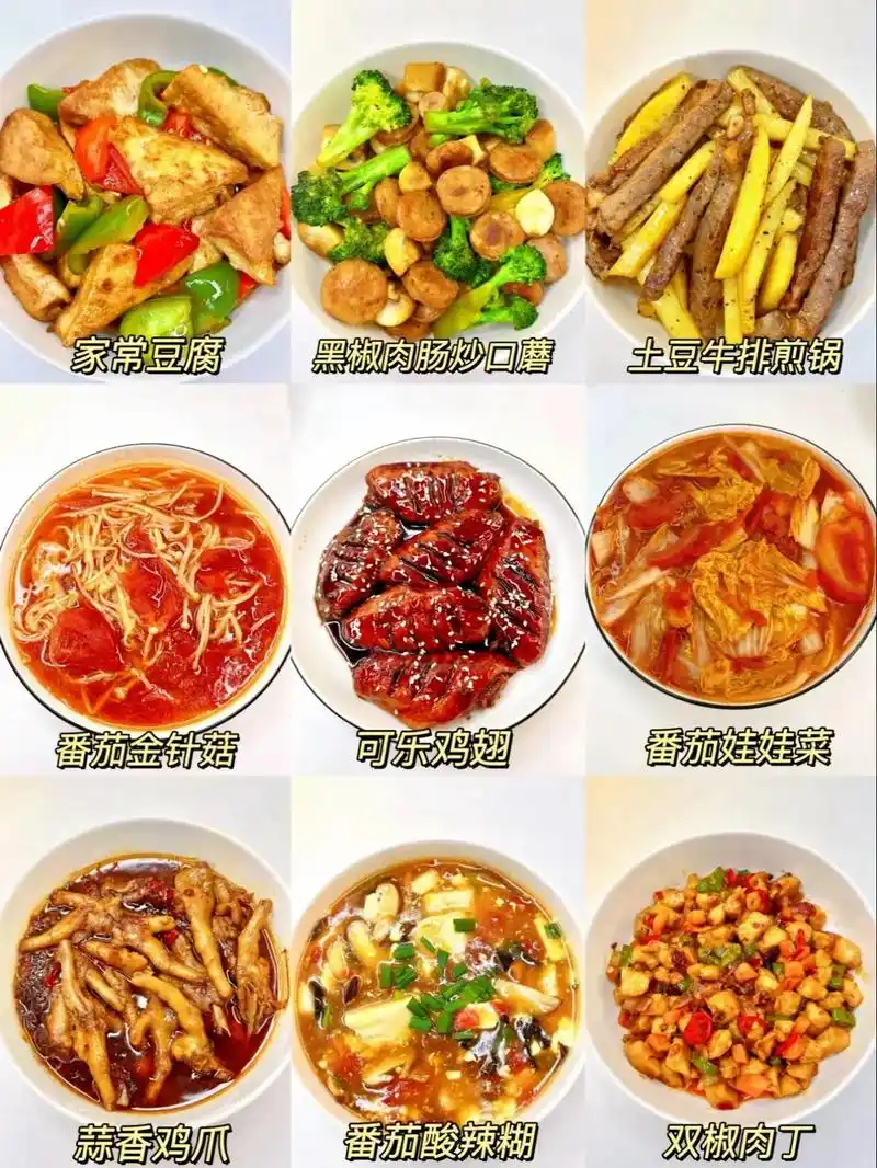 九道经典家常菜做法来啦97.