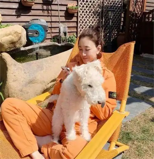 《庆余年2》即将开播,全员美女,第八位是舞蹈专业出身