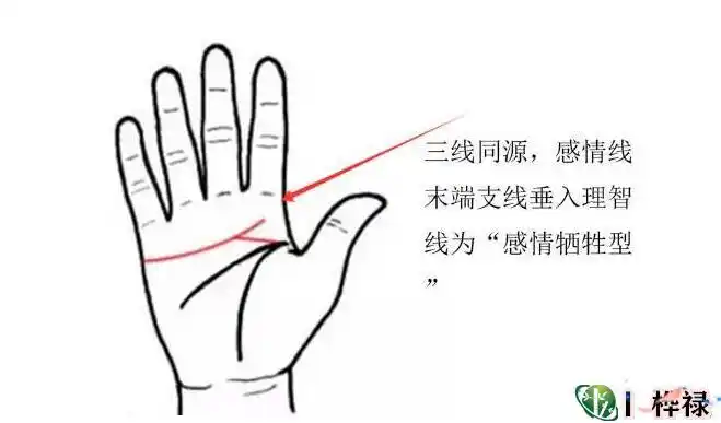 手相婚姻感情线的看法