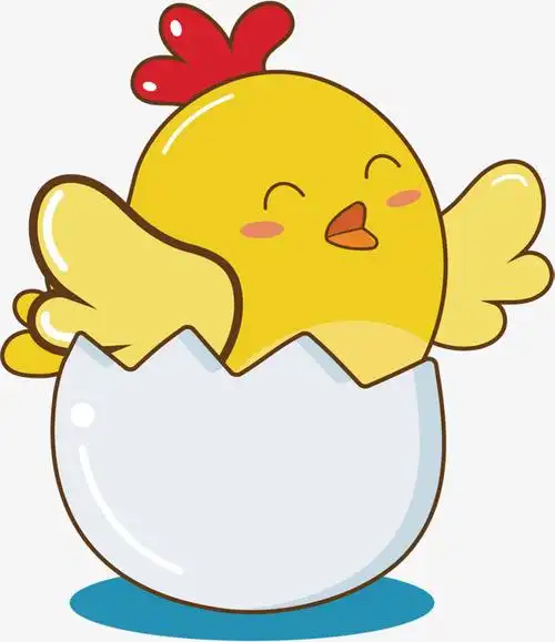 卡通家禽小鸡插画矢量图