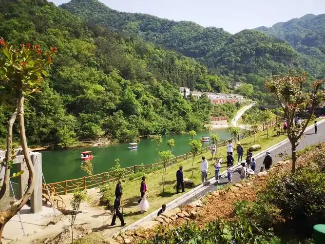 白杨坪林区乡村振兴旅游旺