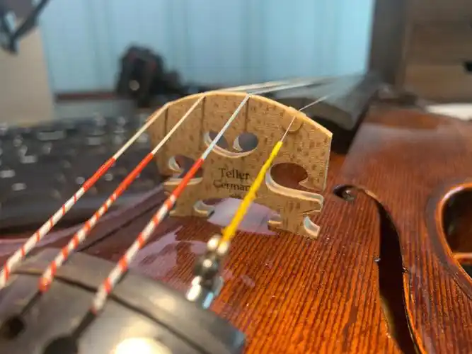 中年人的第一把小提琴,买的是小作坊师傅的便宜手工琴,其实整把琴的各