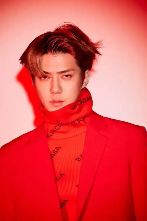 exo正规五辑后续专辑《loveshot》sehun 吴世勋